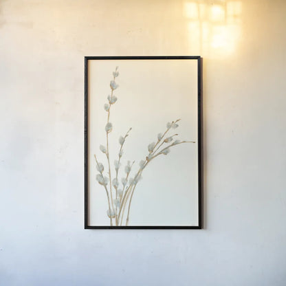 Pussy Willows III by Chris Paschke. shown as a paper print in a black flame. Available as a archival giclee rolled canvas, fine art paper, or poster print. SKU 55081h.