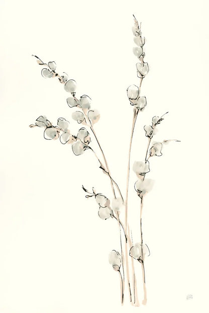 Pussy Willows IV by Chris Paschke. SKU 55082h. Archival Giclee Fine art print for wall decor.