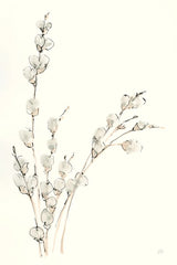 Pussy Willows V by Chris Paschke. SKU 55083h. Archival Giclee Fine art print for wall decor.