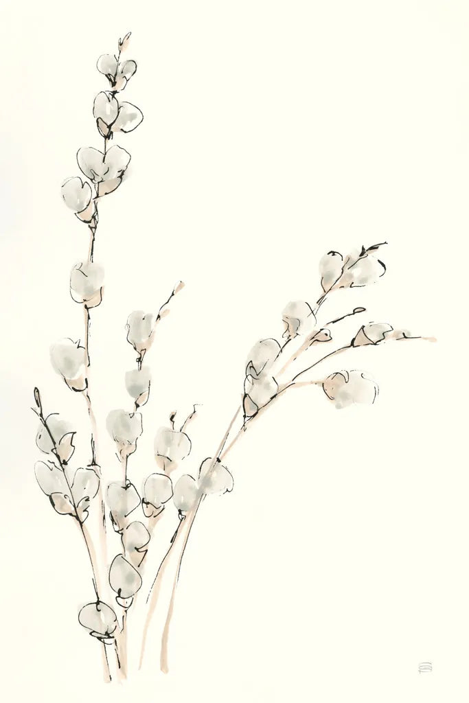 Pussy Willows V by Chris Paschke. SKU 55083h. Archival Giclee Fine art print for wall decor.