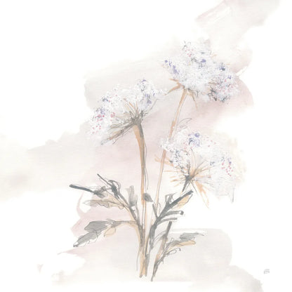 Queen Annes Lace I by Chris Paschke. SKU 73081a. Archival Giclee Fine art print for wall decor.