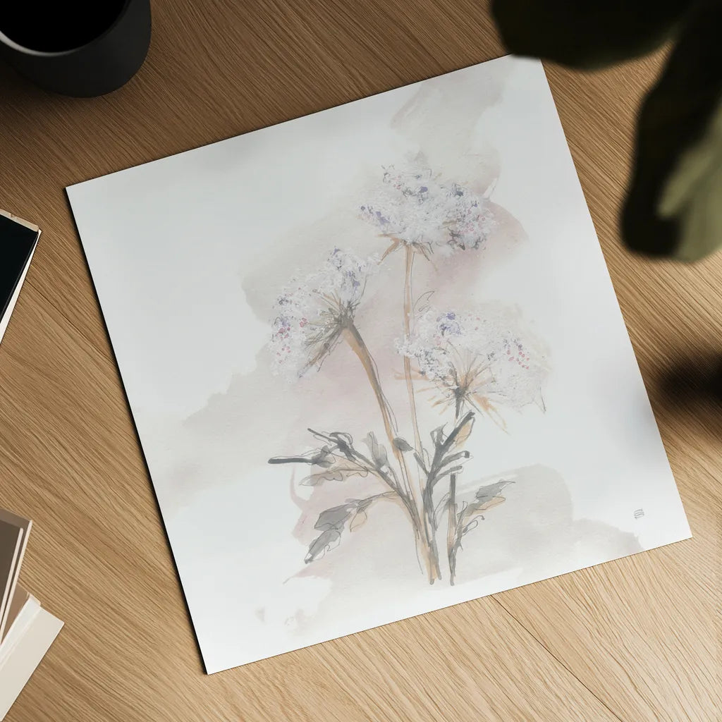 Queen Annes Lace I by Chris Paschke. Shown as a detailed flat fine art print, highlighting archival giclee quality. Available as an archival giclee rolled canvas, fine art paper, or poster print. SKU 73081a.