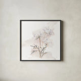 Queen Annes Lace I by Chris Paschke. Shown in a sleek black glass frame for a contemporary gallery look. Available as an archival giclee rolled canvas, fine art paper, or poster print. SKU 73081a.
