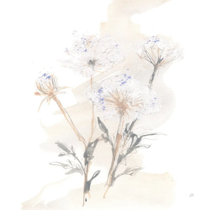 Queen Annes Lace II by Chris Paschke. SKU 73082a. Archival Giclee Fine art print for wall decor.