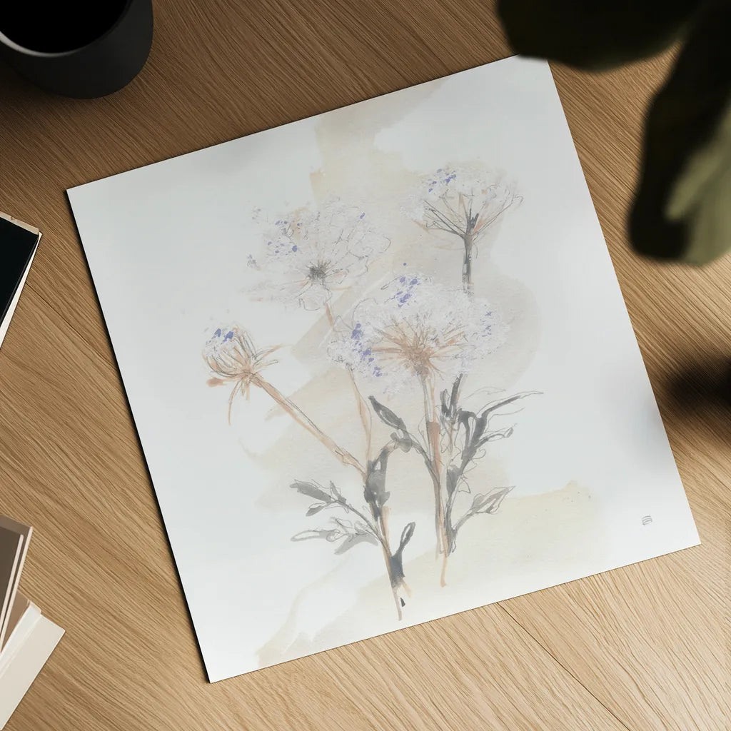 Queen Annes Lace II by Chris Paschke. Shown as a detailed flat fine art print, highlighting archival giclee quality. Available as an archival giclee rolled canvas, fine art paper, or poster print. SKU 73082a.