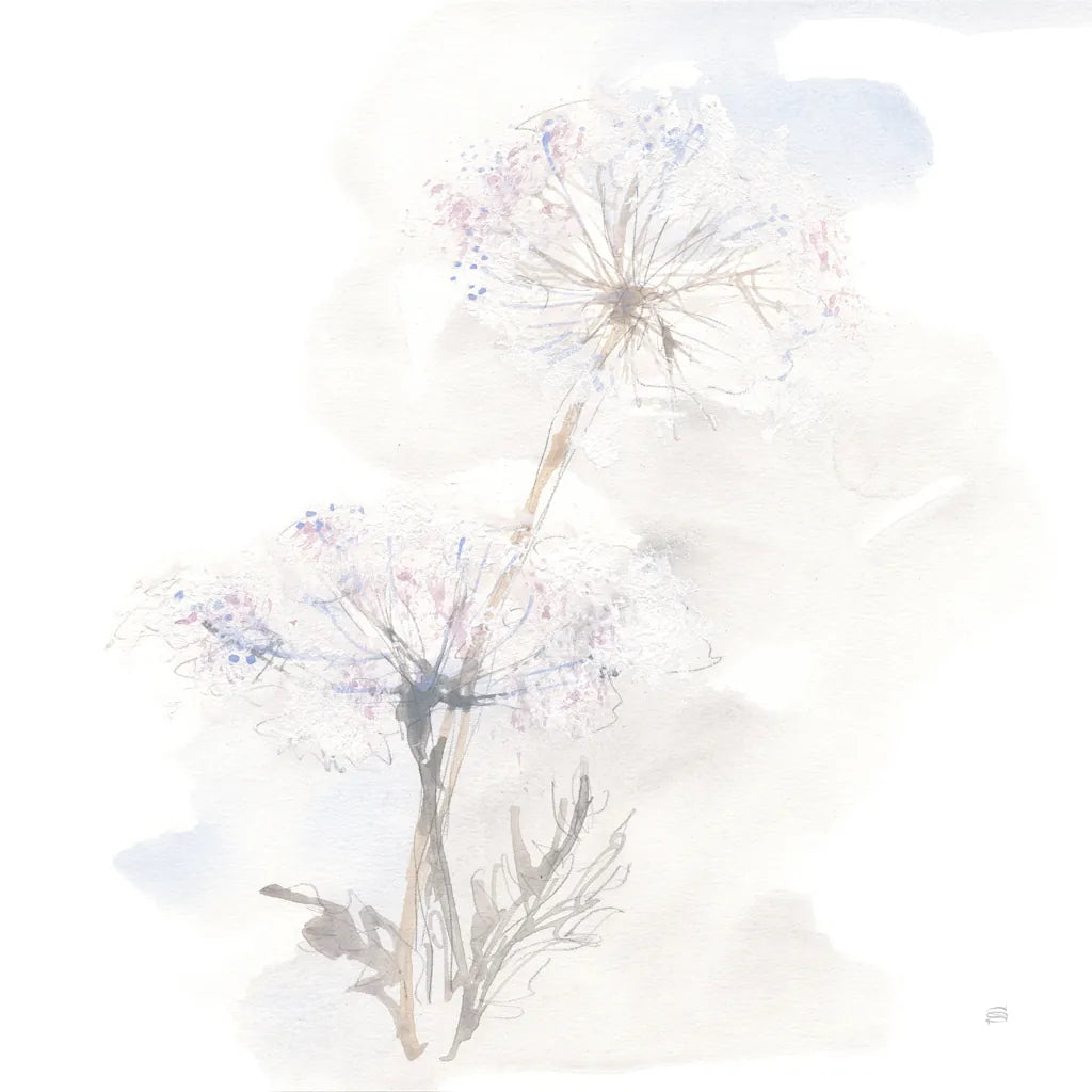 Queen Annes Lace III by Chris Paschke. SKU 73083a. Archival Giclee Fine art print for wall decor.