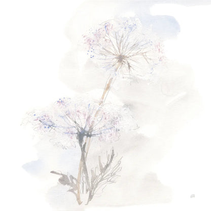 Queen Annes Lace III by Chris Paschke. SKU 73083a. Archival Giclee Fine art print for wall decor.