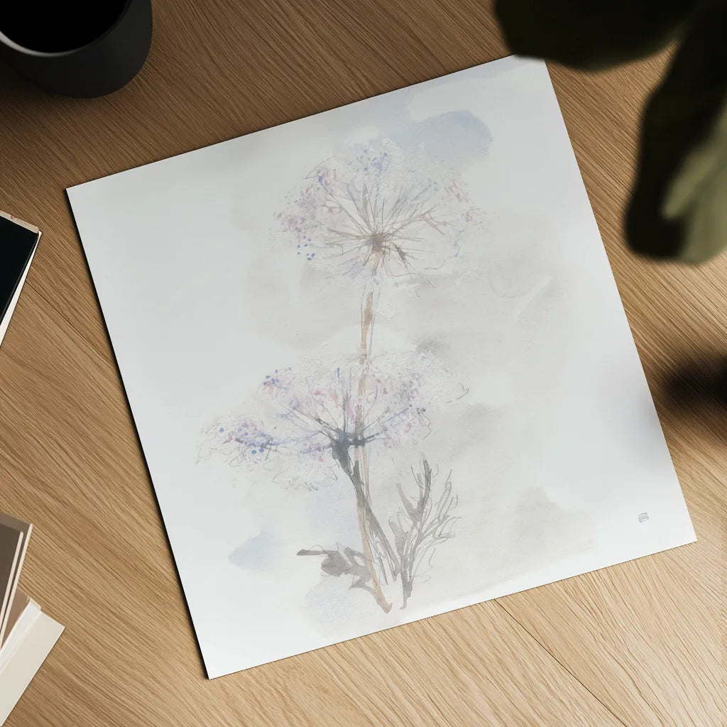 Queen Annes Lace III by Chris Paschke. Shown as a detailed flat fine art print, highlighting archival giclee quality. Available as an archival giclee rolled canvas, fine art paper, or poster print. SKU 73083a.