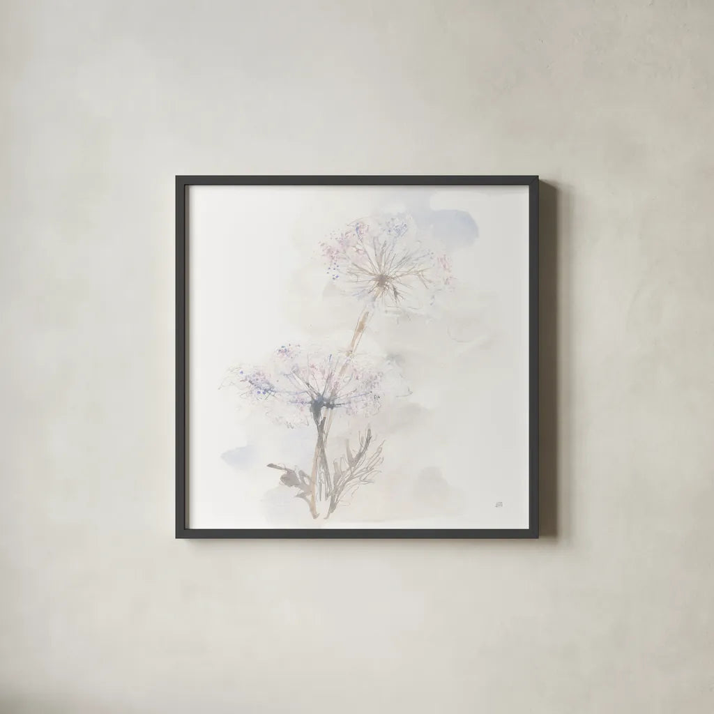 Queen Annes Lace III by Chris Paschke. Shown in a sleek black glass frame for a contemporary gallery look. Available as an archival giclee rolled canvas, fine art paper, or poster print. SKU 73083a.