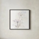 Queen Annes Lace III by Chris Paschke. Shown in a sleek black glass frame for a contemporary gallery look. Available as an archival giclee rolled canvas, fine art paper, or poster print. SKU 73083a.