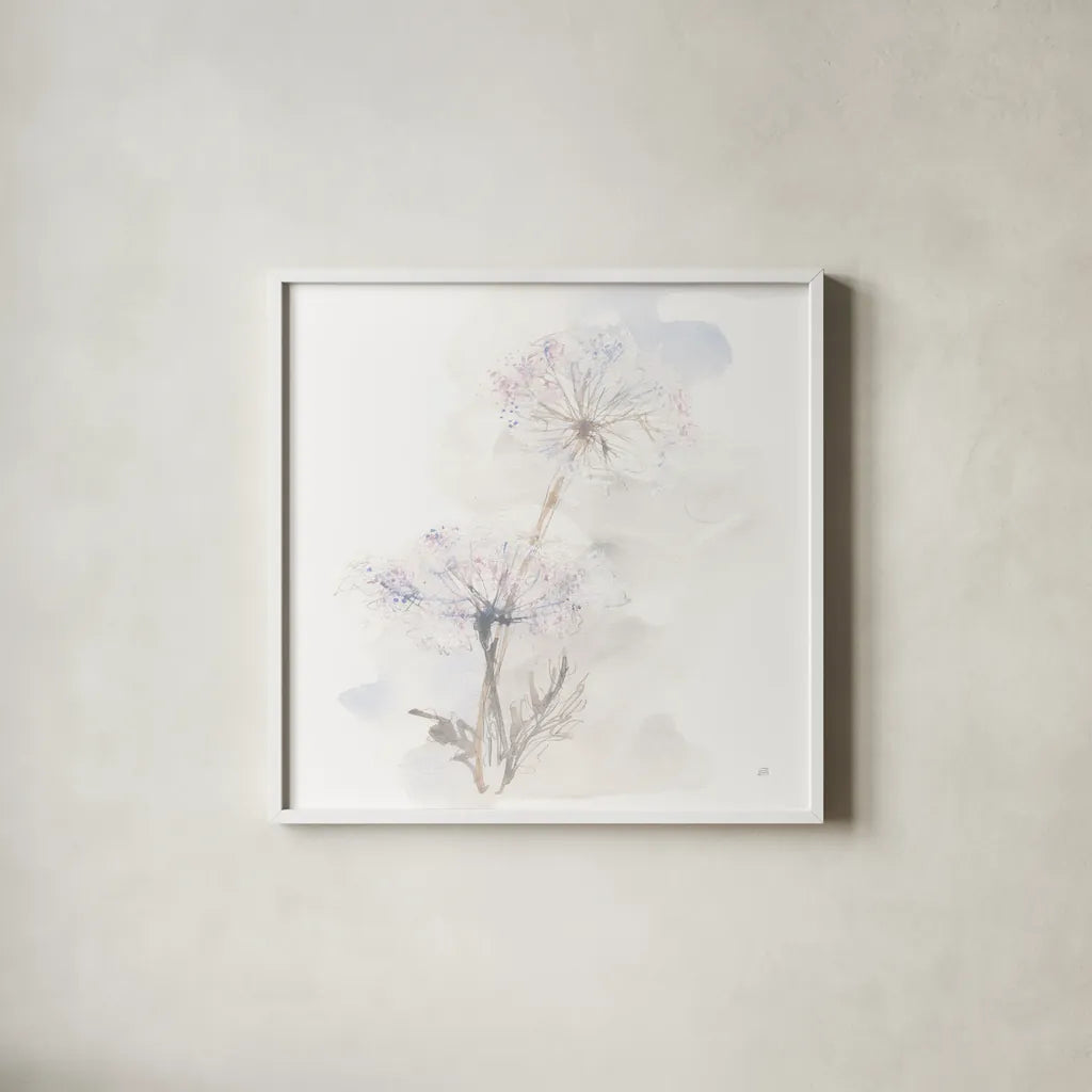Queen Annes Lace III by Chris Paschke. Shown in a crisp white glass frame for a clean and minimalist style. Available as an archival giclee rolled canvas, fine art paper, or poster print. SKU 73083a.