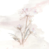 Queen Annes Lace IV by Chris Paschke. SKU 73084a. Archival Giclee Fine art print for wall decor.