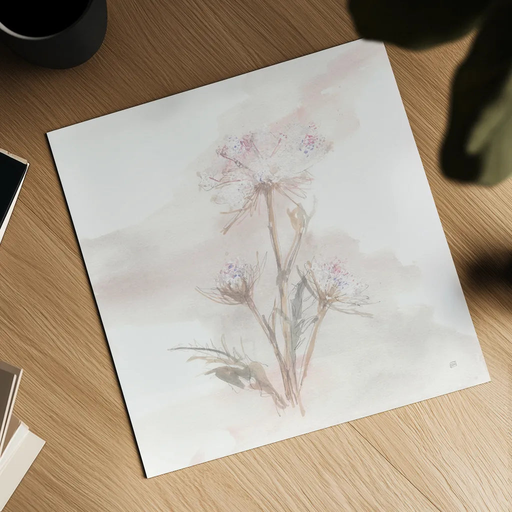 Queen Annes Lace IV by Chris Paschke. Shown as a detailed flat fine art print, highlighting archival giclee quality. Available as an archival giclee rolled canvas, fine art paper, or poster print. SKU 73084a.