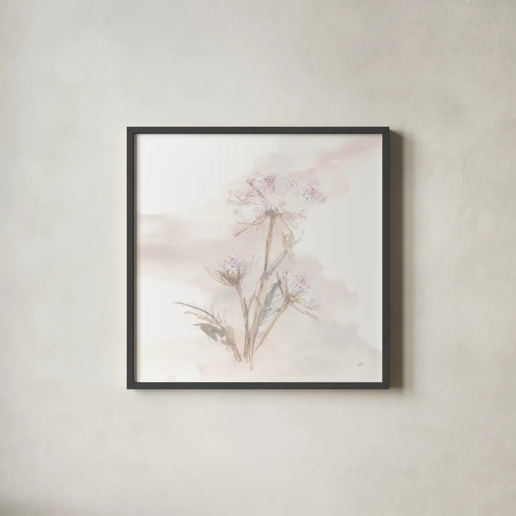 Queen Annes Lace IV by Chris Paschke. Shown in a sleek black glass frame for a contemporary gallery look. Available as an archival giclee rolled canvas, fine art paper, or poster print. SKU 73084a.