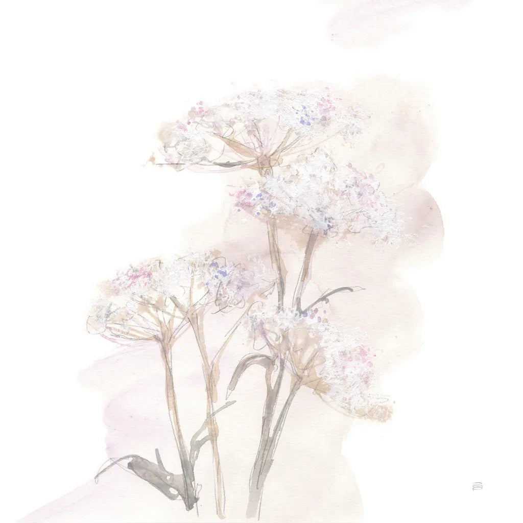 Queen Annes Lace V by Chris Paschke. SKU 73085a. Archival Giclee Fine art print for wall decor.