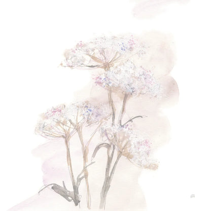 Queen Annes Lace V by Chris Paschke. SKU 73085a. Archival Giclee Fine art print for wall decor.