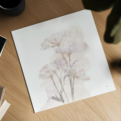 Queen Annes Lace V by Chris Paschke. Shown as a detailed flat fine art print, highlighting archival giclee quality. Available as an archival giclee rolled canvas, fine art paper, or poster print. SKU 73085a.