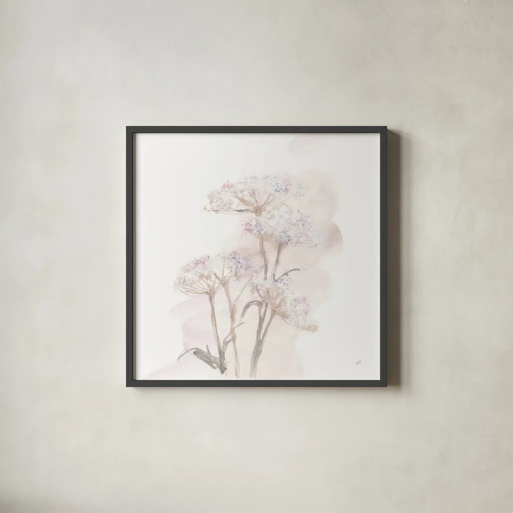 Queen Annes Lace V by Chris Paschke. Shown in a sleek black glass frame for a contemporary gallery look. Available as an archival giclee rolled canvas, fine art paper, or poster print. SKU 73085a.
