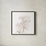 Queen Annes Lace V by Chris Paschke. Shown in a sleek black glass frame for a contemporary gallery look. Available as an archival giclee rolled canvas, fine art paper, or poster print. SKU 73085a.
