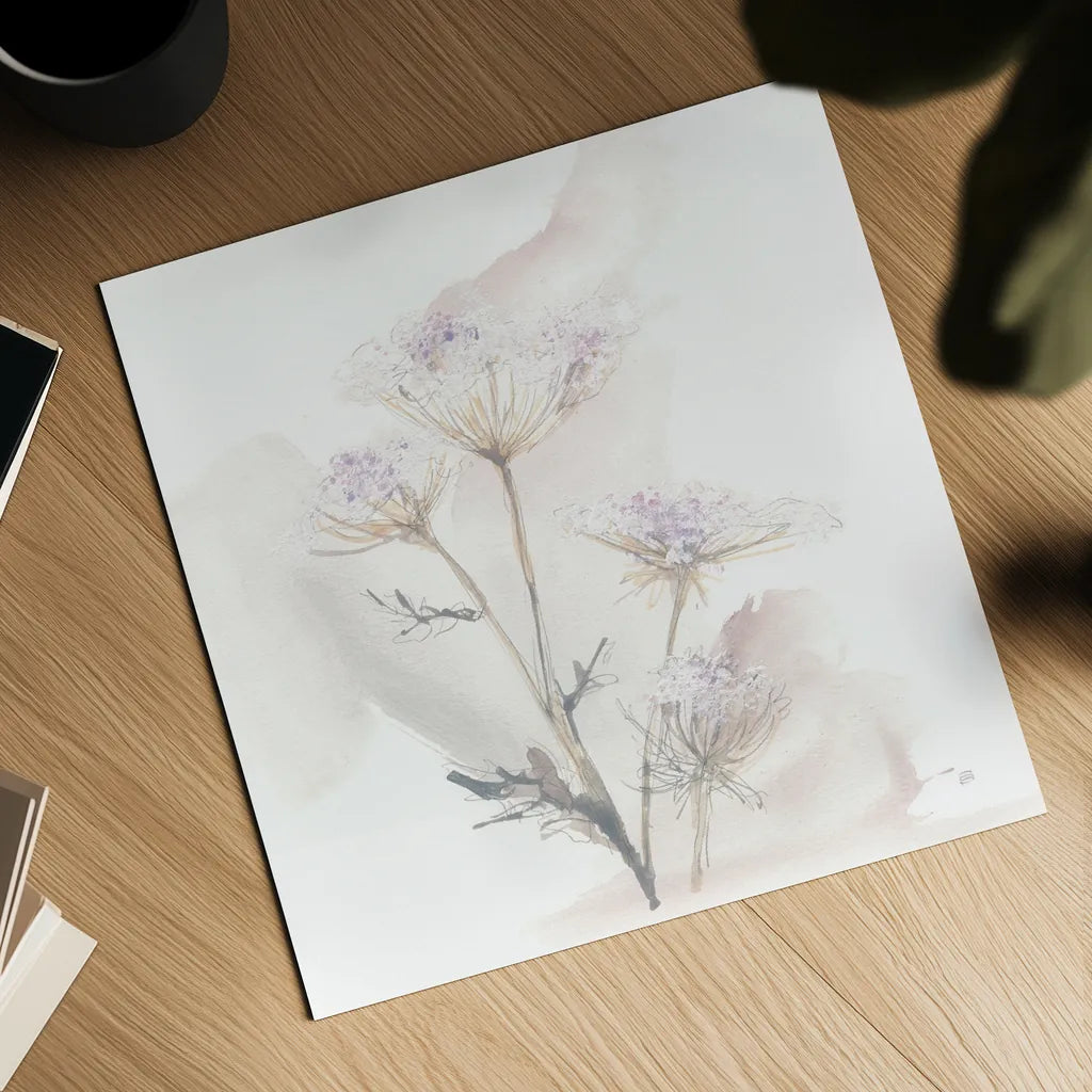 Queen Annes Lace VI by Chris Paschke. Shown as a detailed flat fine art print, highlighting archival giclee quality. Available as an archival giclee rolled canvas, fine art paper, or poster print. SKU 73086a.