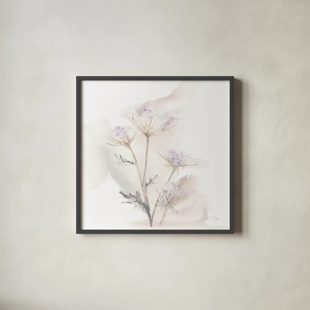 Queen Annes Lace VI by Chris Paschke. Shown in a sleek black glass frame for a contemporary gallery look. Available as an archival giclee rolled canvas, fine art paper, or poster print. SKU 73086a.