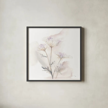 Queen Annes Lace VI by Chris Paschke. Shown in a sleek black glass frame for a contemporary gallery look. Available as an archival giclee rolled canvas, fine art paper, or poster print. SKU 73086a.