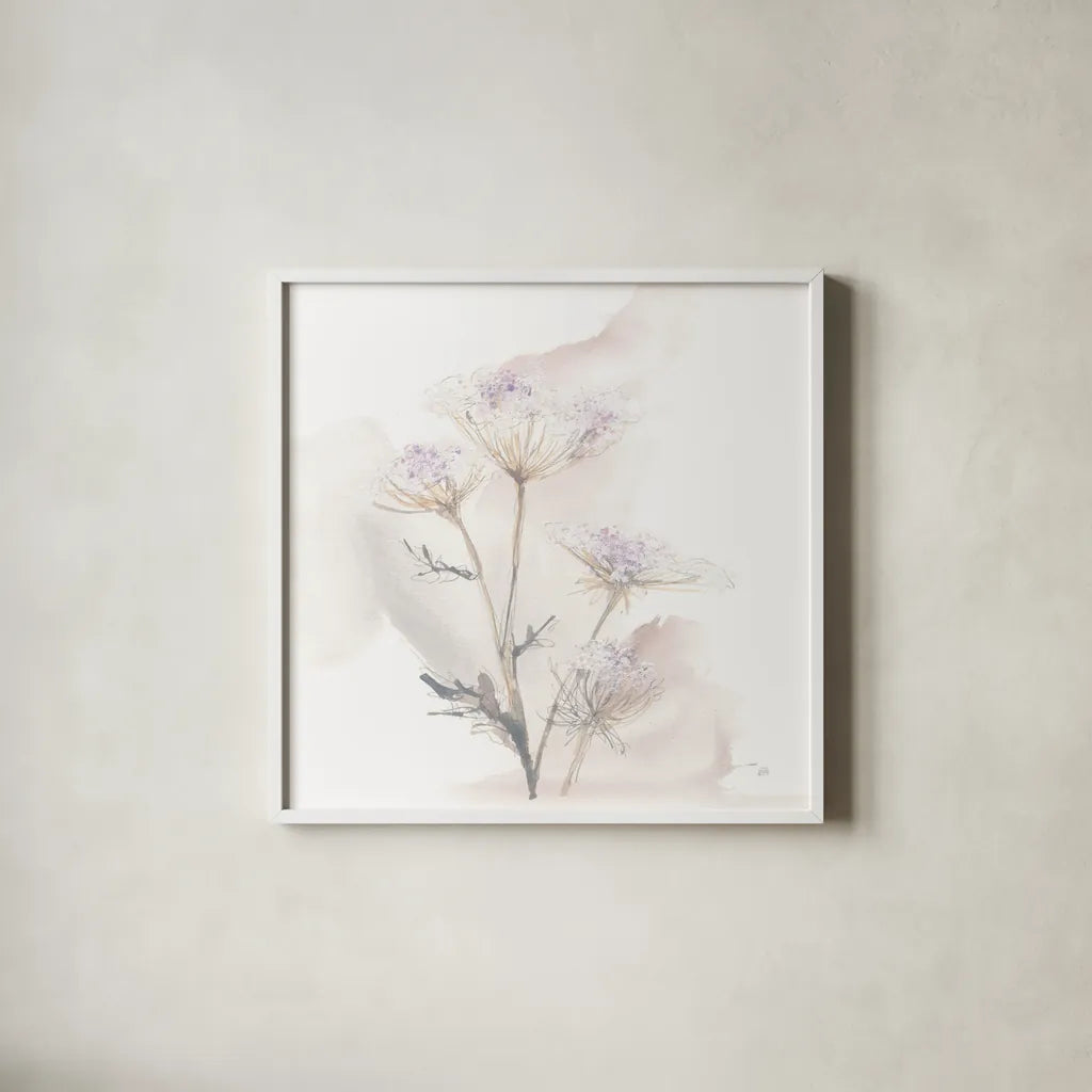 Queen Annes Lace VI by Chris Paschke. Shown in a crisp white glass frame for a clean and minimalist style. Available as an archival giclee rolled canvas, fine art paper, or poster print. SKU 73086a.