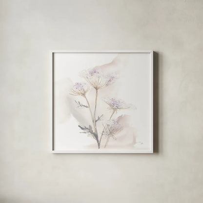 Queen Annes Lace VI by Chris Paschke. Shown in a crisp white glass frame for a clean and minimalist style. Available as an archival giclee rolled canvas, fine art paper, or poster print. SKU 73086a.
