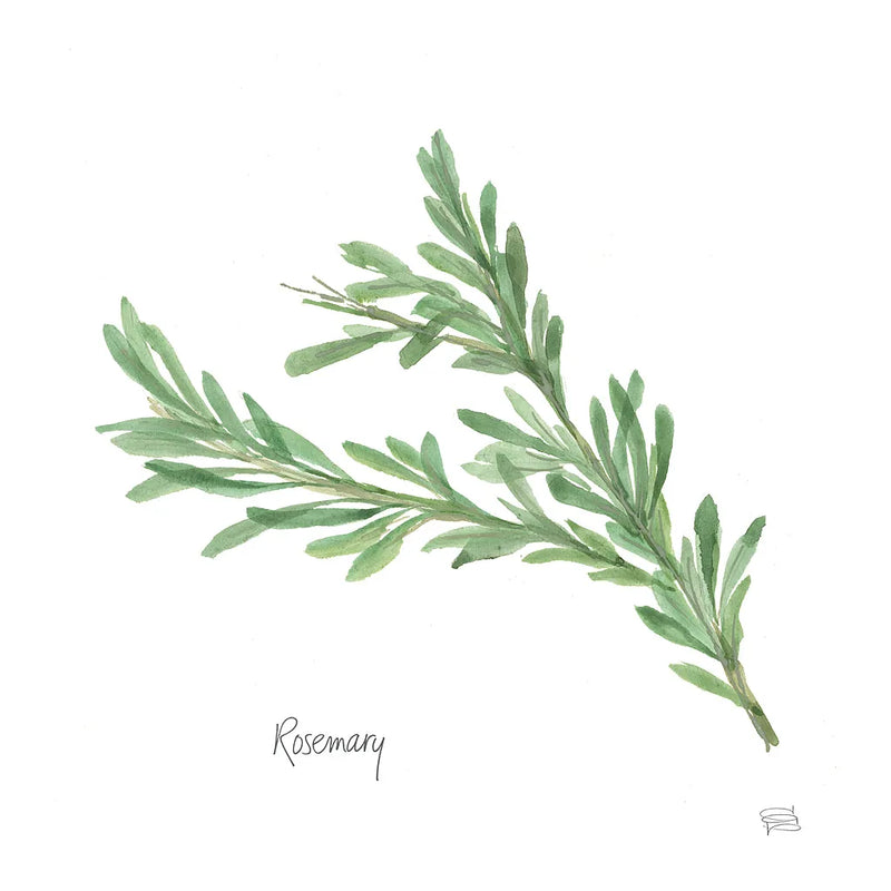 Rosemary v2 by Chris Paschke. SKU 28467a. Archival Giclee Fine art print for wall decor.