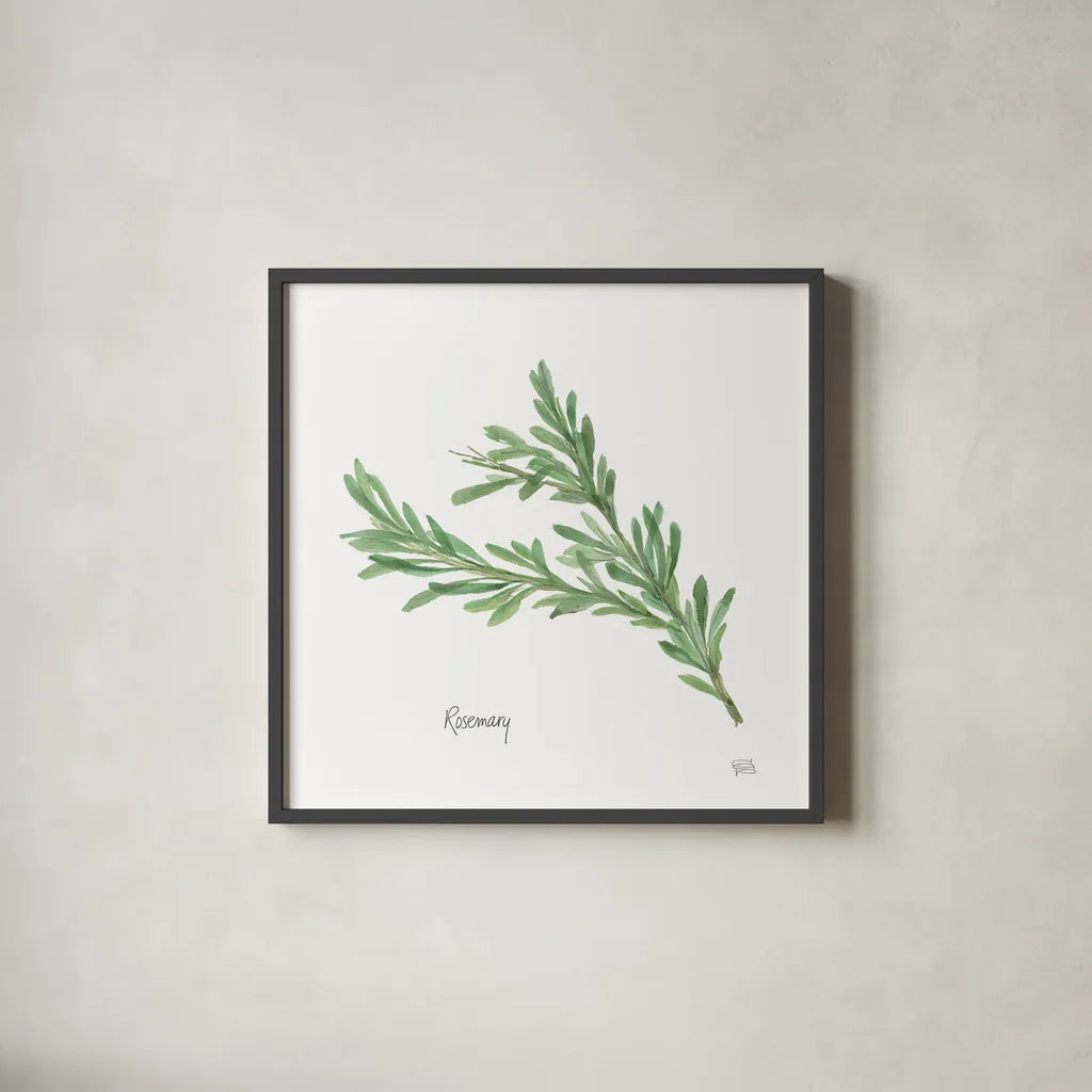 Rosemary v2 by Chris Paschke. Shown in a sleek black glass frame for a contemporary gallery look. Available as an archival giclee rolled canvas, fine art paper, or poster print. SKU 28467a.