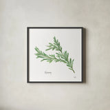 Rosemary v2 by Chris Paschke. Shown in a sleek black glass frame for a contemporary gallery look. Available as an archival giclee rolled canvas, fine art paper, or poster print. SKU 28467a.