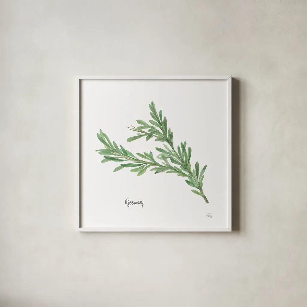 Rosemary v2 by Chris Paschke. Shown in a crisp white glass frame for a clean and minimalist style. Available as an archival giclee rolled canvas, fine art paper, or poster print. SKU 28467a.