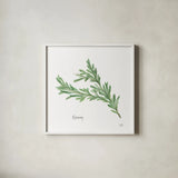Rosemary v2 by Chris Paschke. Shown in a crisp white glass frame for a clean and minimalist style. Available as an archival giclee rolled canvas, fine art paper, or poster print. SKU 28467a.