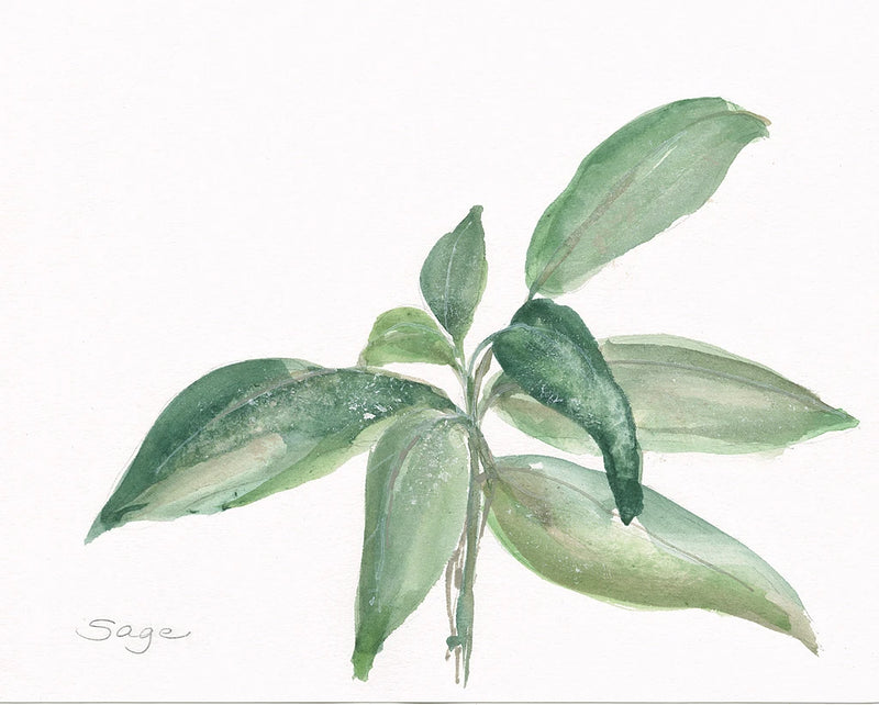 Sage I by Chris Paschke