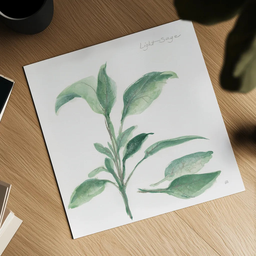 Sage II by Chris Paschke. Shown as a detailed flat fine art print, highlighting archival giclee quality. Available as an archival giclee rolled canvas, fine art paper, or poster print. SKU 27529a.