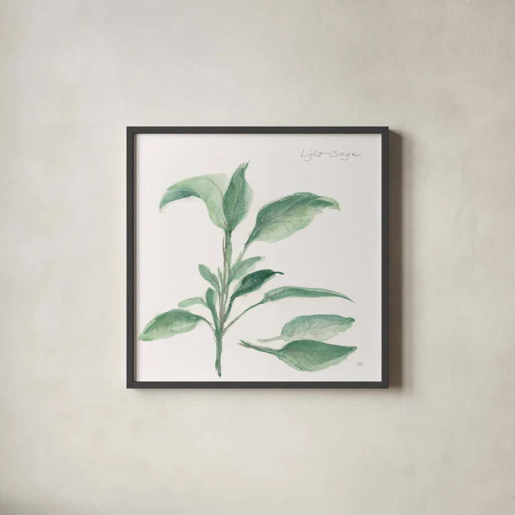 Sage II by Chris Paschke. Shown in a sleek black glass frame for a contemporary gallery look. Available as an archival giclee rolled canvas, fine art paper, or poster print. SKU 27529a.