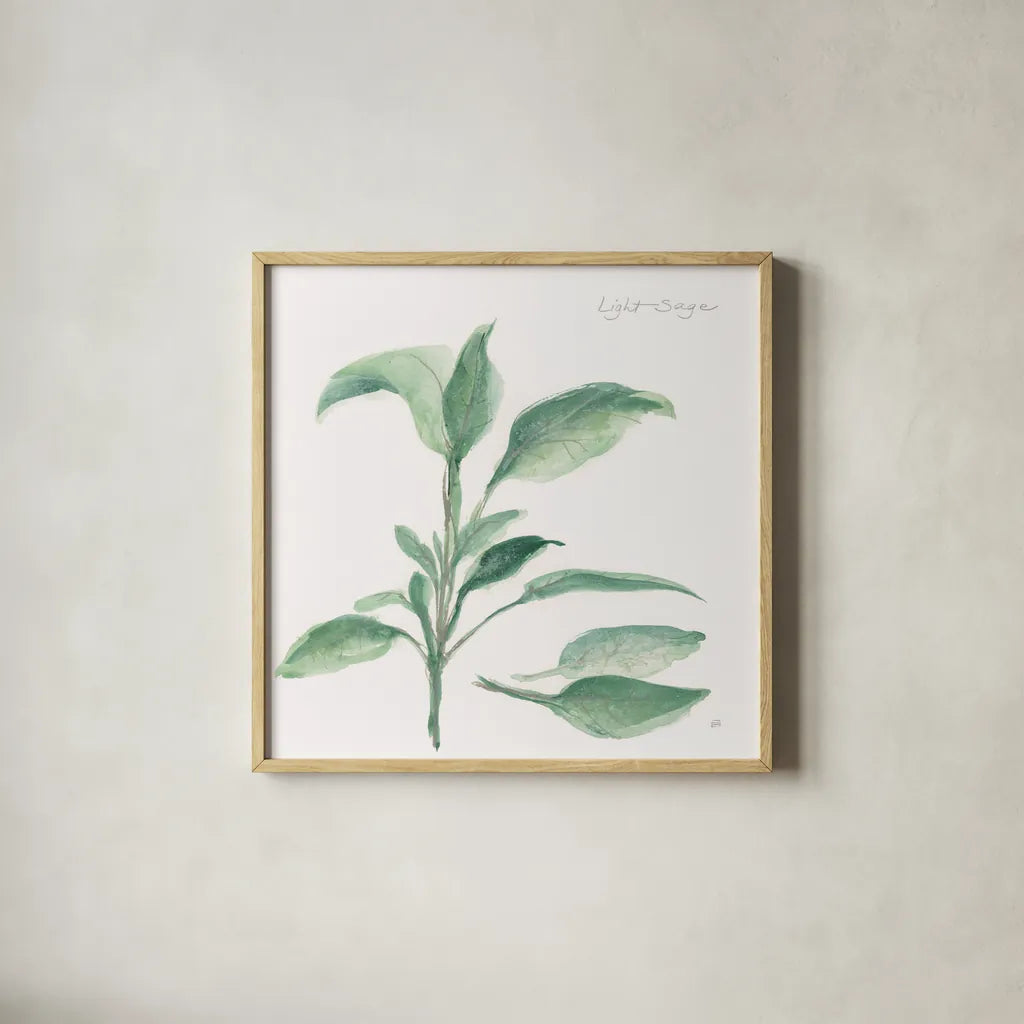 Sage II by Chris Paschke. Shown in a natural wood glass frame for a timeless modern aesthetic. Available as an archival giclee rolled canvas, fine art paper, or poster print. SKU 27529a.