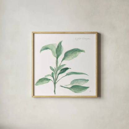 Sage II by Chris Paschke. Shown in a natural wood glass frame for a timeless modern aesthetic. Available as an archival giclee rolled canvas, fine art paper, or poster print. SKU 27529a.