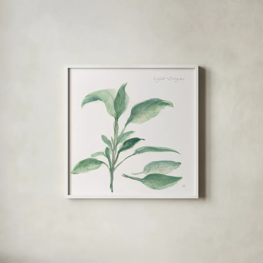 Sage II by Chris Paschke. Shown in a crisp white glass frame for a clean and minimalist style. Available as an archival giclee rolled canvas, fine art paper, or poster print. SKU 27529a.