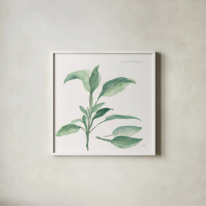 Sage II by Chris Paschke. Shown in a crisp white glass frame for a clean and minimalist style. Available as an archival giclee rolled canvas, fine art paper, or poster print. SKU 27529a.