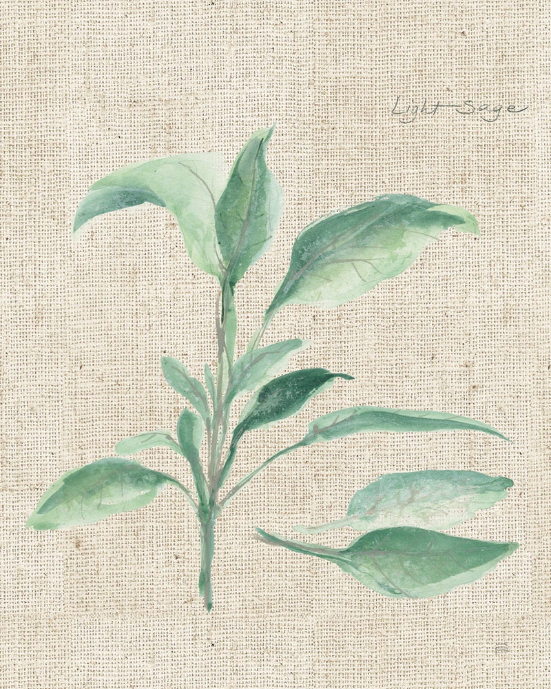 Sage II on Burlap by Chris Paschke