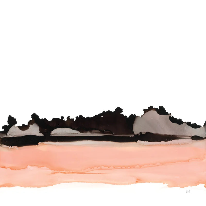 Salmonscape II by Chris Paschke. SKU 81897a. Archival Giclee Fine art print for wall decor.