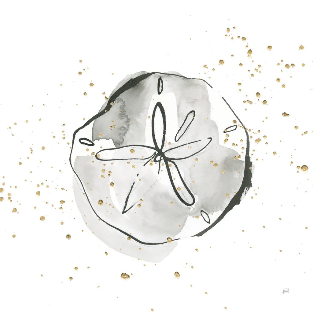 Sand Dollar I by Chris Paschke. SKU 66534a. Archival Giclee Fine art print for wall decor.