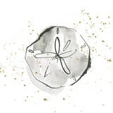 Sand Dollar I by Chris Paschke. SKU 66534a. Archival Giclee Fine art print for wall decor.
