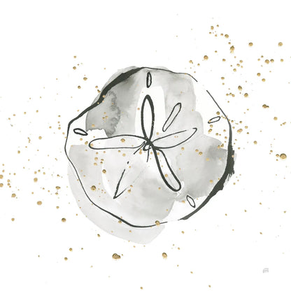 Sand Dollar I by Chris Paschke. SKU 66534a. Archival Giclee Fine art print for wall decor.