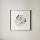 Sand Dollar I by Chris Paschke. Shown in a natural wood glass frame for a timeless modern aesthetic. Available as an archival giclee rolled canvas, fine art paper, or poster print. SKU 66534a.
