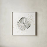 Sand Dollar I by Chris Paschke. Shown in a crisp white glass frame for a clean and minimalist style. Available as an archival giclee rolled canvas, fine art paper, or poster print. SKU 66534a.