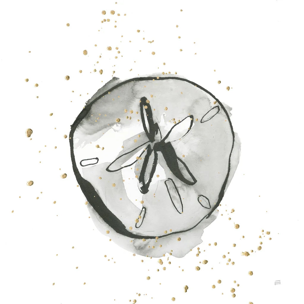 Sand Dollar II by Chris Paschke. SKU 66535a. Archival Giclee Fine art print for wall decor.