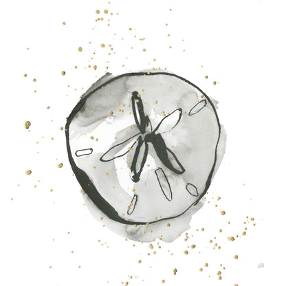 Sand Dollar II by Chris Paschke. SKU 66535a. Archival Giclee Fine art print for wall decor.