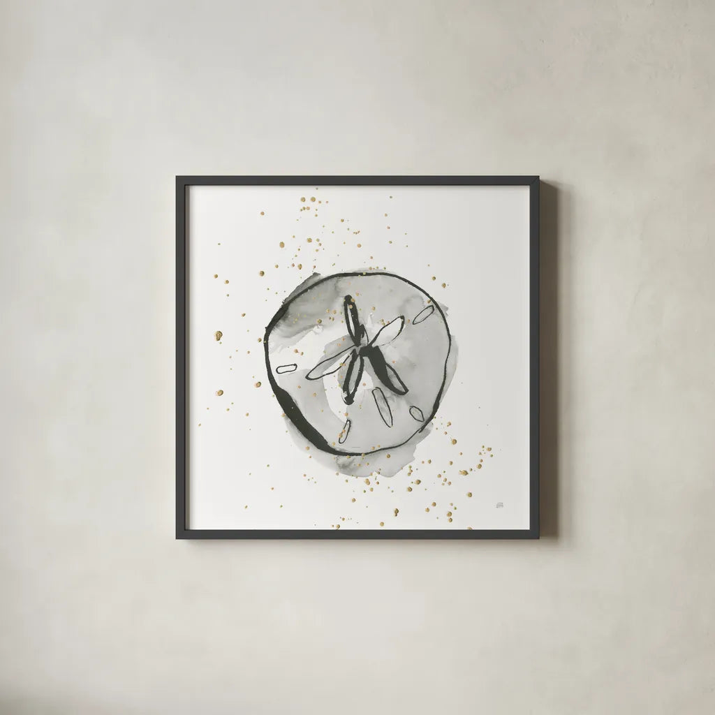Sand Dollar II by Chris Paschke. Shown in a sleek black glass frame for a contemporary gallery look. Available as an archival giclee rolled canvas, fine art paper, or poster print. SKU 66535a.